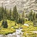 萧山宠物护理怎么收费 萧山宠物护理怎么收费的？